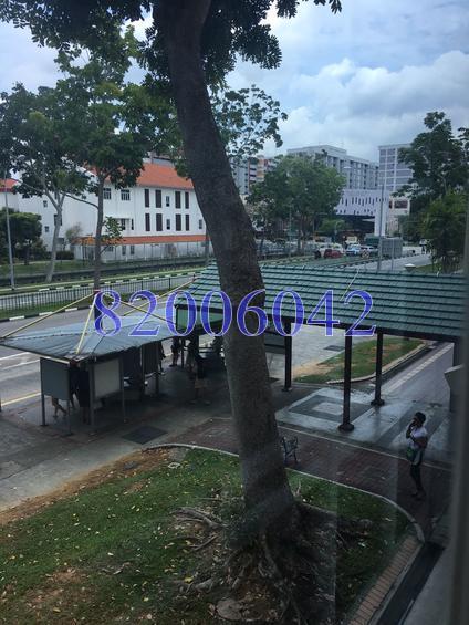 Blk 502 Tampines Central 1 (Tampines), HDB 5 Rooms #131075972